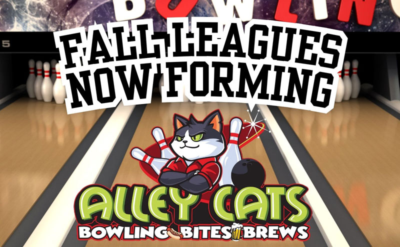 fall league banner
